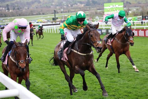 punchestown festival betting,punchestown tips